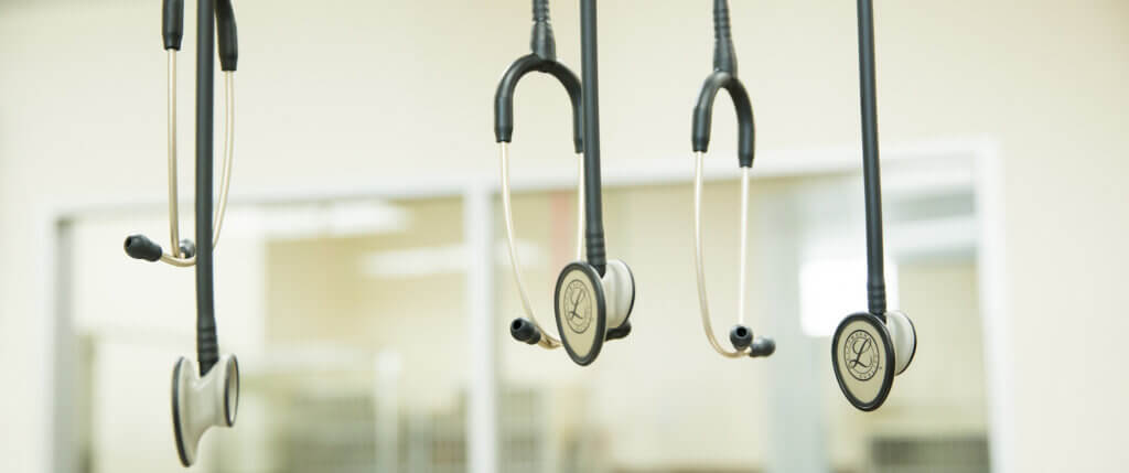 Pet Doctor Equipment - Chaska Valley Veterinary Clinic