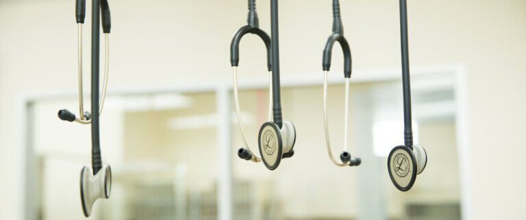 Pet Doctor Equipment - Chaska Valley Veterinary Clinic