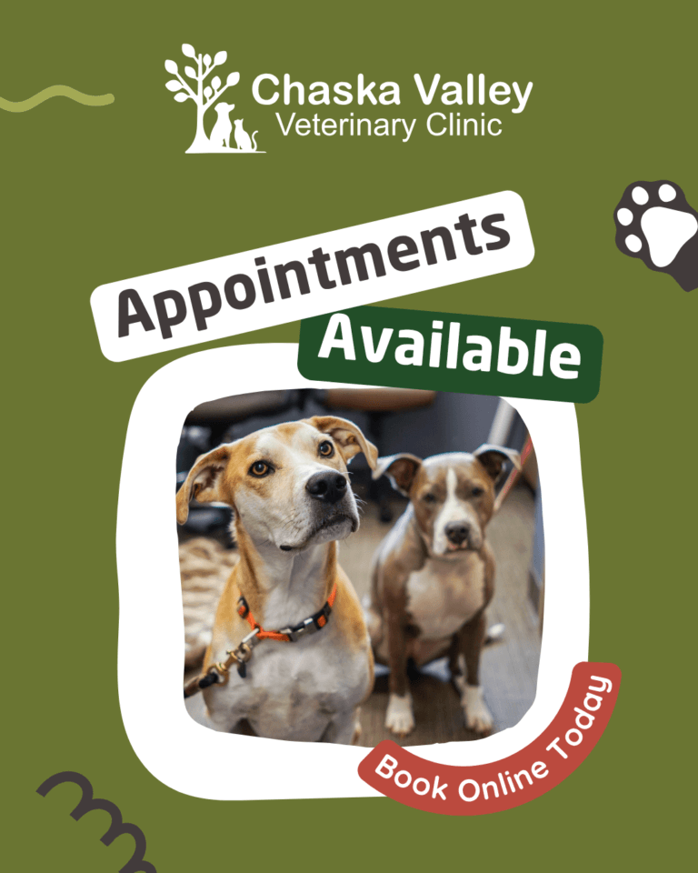 Chaska Valley Veterinary Clinic: appointments available, book online today.